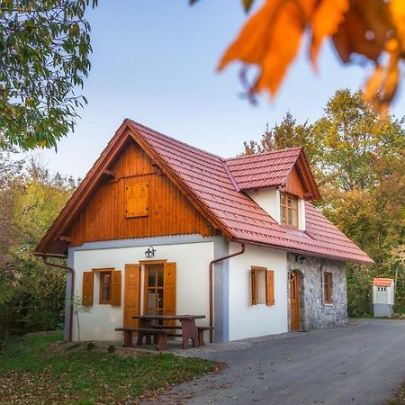 Vineyard Cottage Vina In Medu Trebelno Екстериор снимка